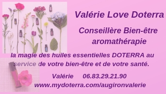 Logo Valérie Augiron